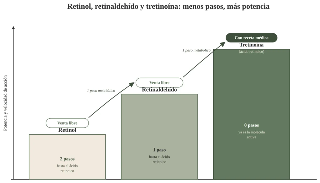 escalera potencia retinol retinaldehido tretinoina